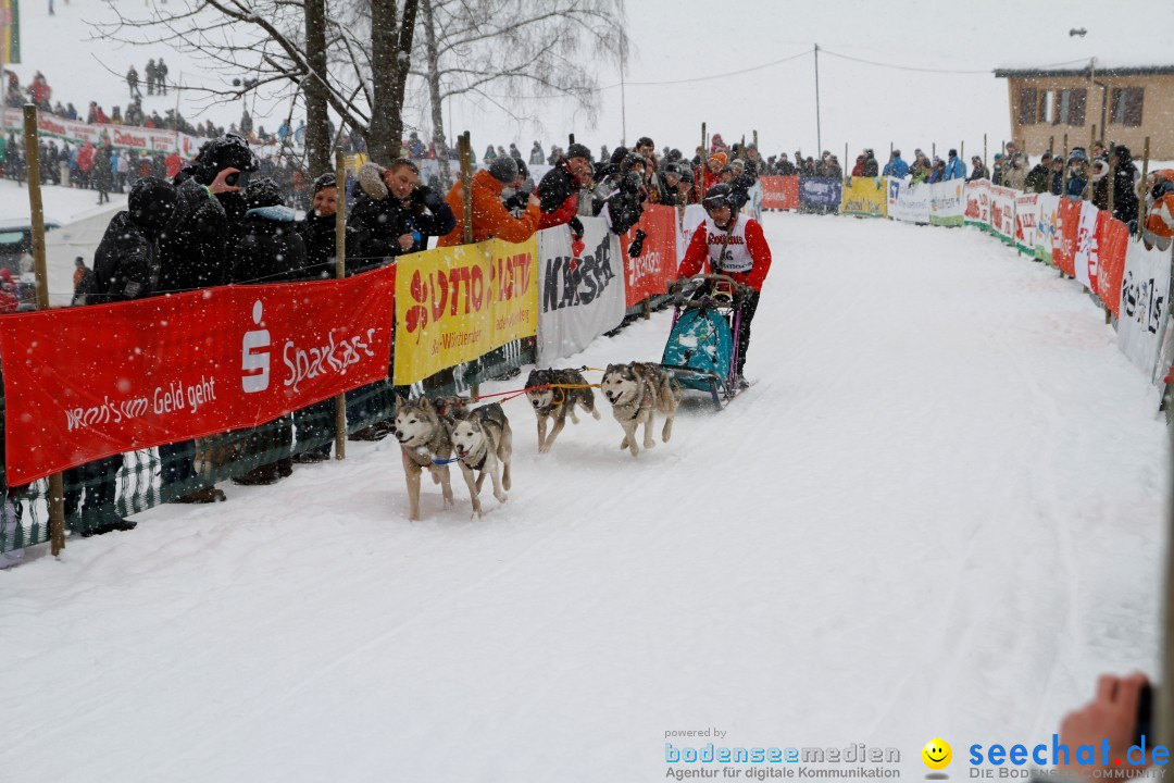 Schlittenhunderennen: Todtmoos im Schwarzwald, 24.02.2013