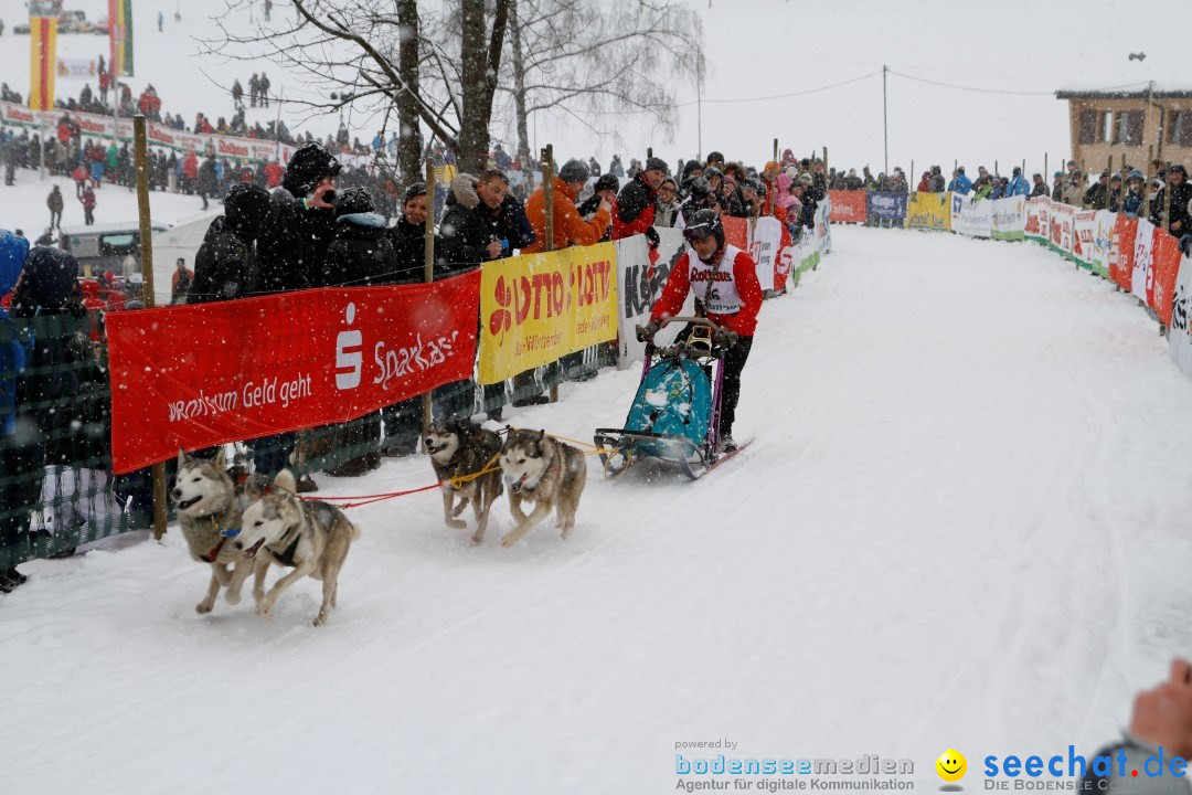 Schlittenhunderennen: Todtmoos im Schwarzwald, 24.02.2013