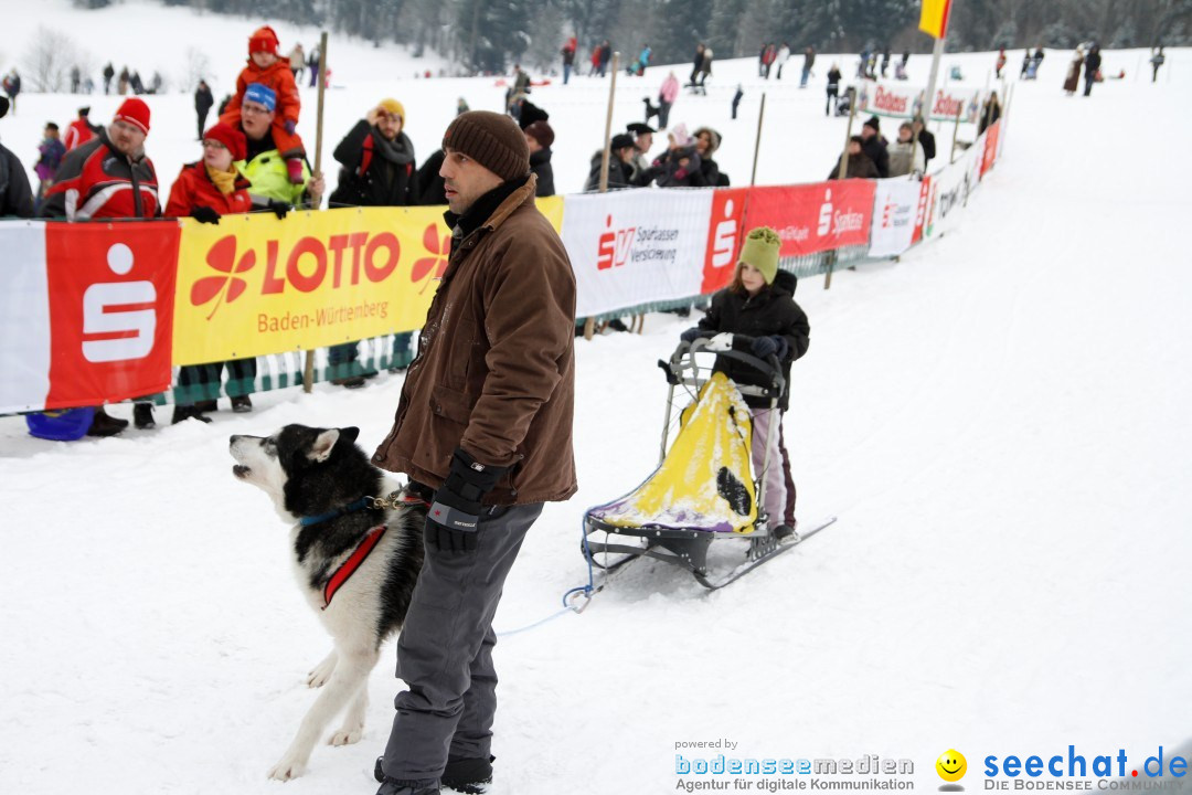 Schlittenhunderennen: Todtmoos im Schwarzwald, 24.02.2013