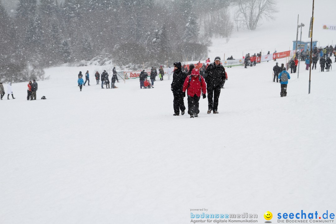 Schlittenhunderennen: Todtmoos im Schwarzwald, 24.02.2013