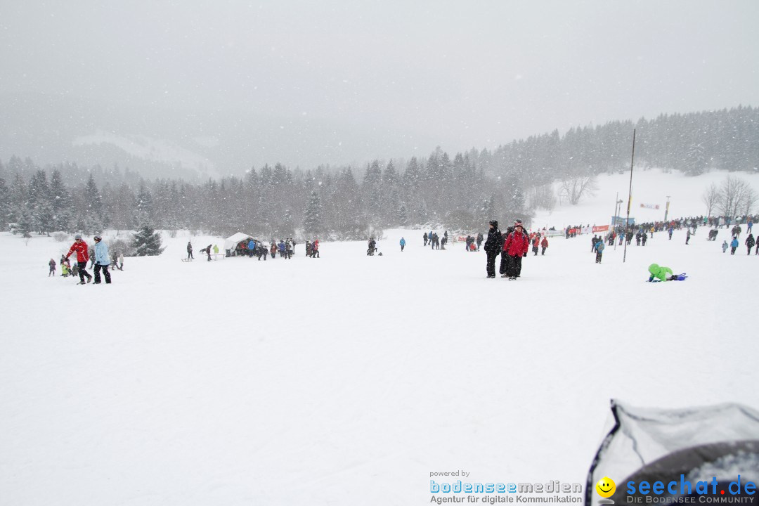 Schlittenhunderennen: Todtmoos im Schwarzwald, 24.02.2013