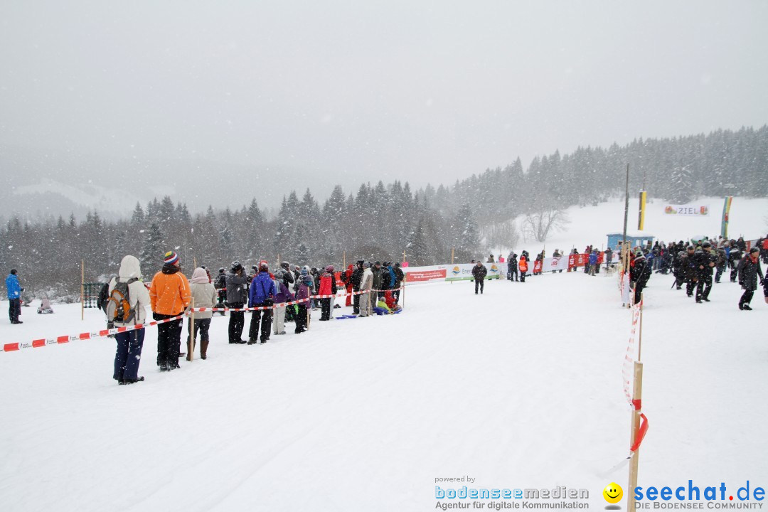 Schlittenhunderennen: Todtmoos im Schwarzwald, 24.02.2013