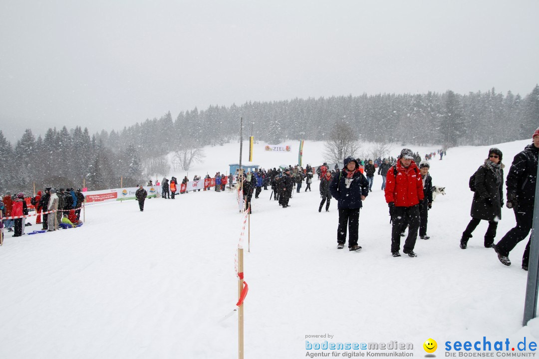 Schlittenhunderennen: Todtmoos im Schwarzwald, 24.02.2013