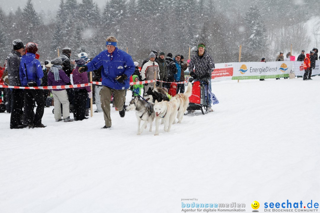 Schlittenhunderennen: Todtmoos im Schwarzwald, 24.02.2013