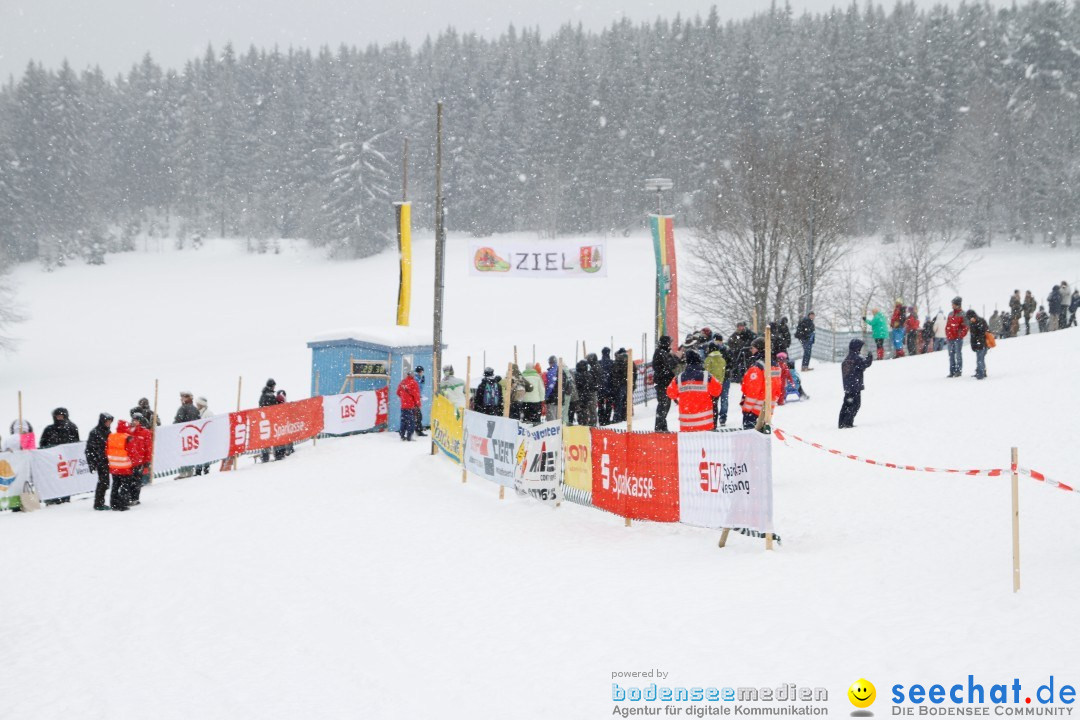 Schlittenhunderennen: Todtmoos im Schwarzwald, 24.02.2013