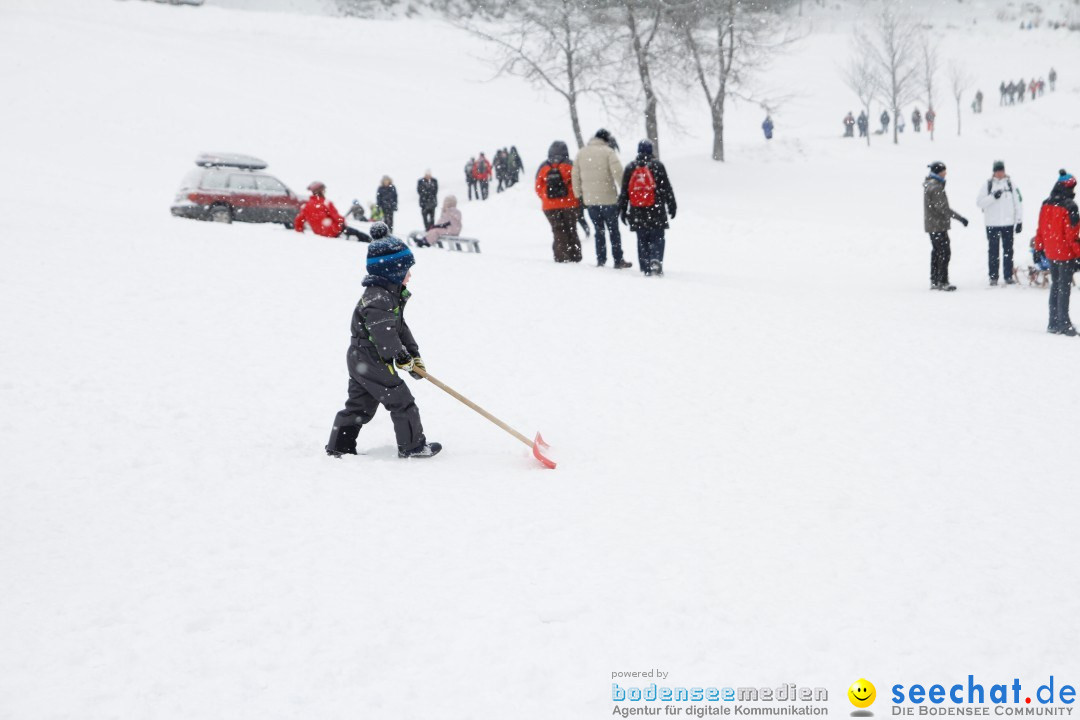 Schlittenhunderennen: Todtmoos im Schwarzwald, 24.02.2013