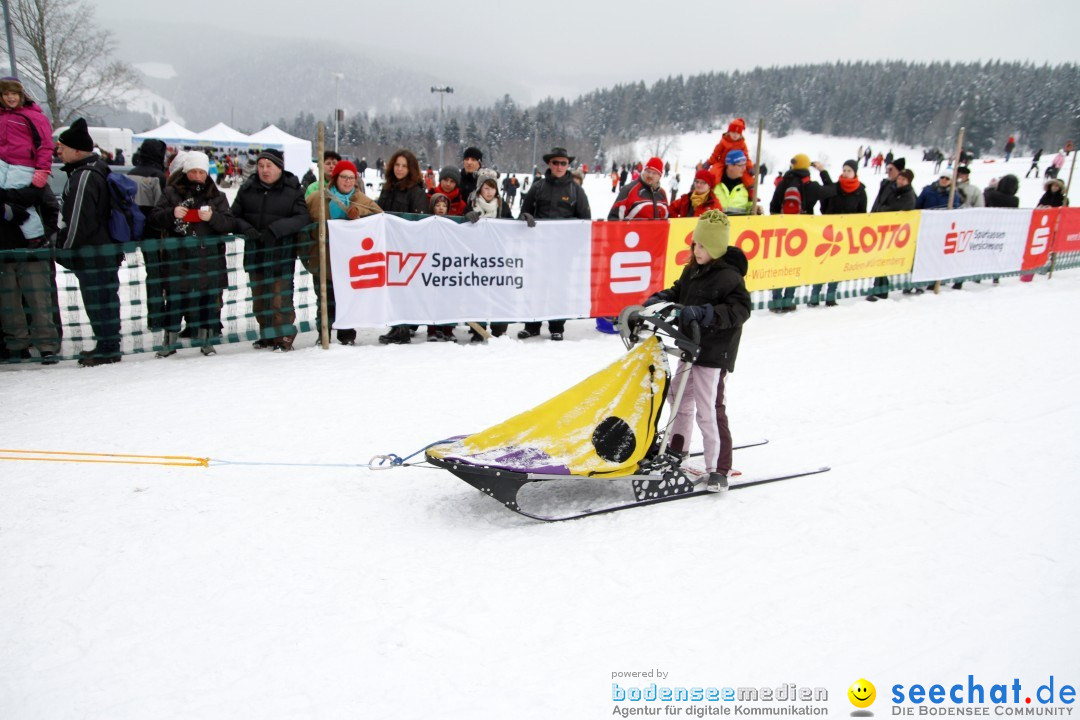 Schlittenhunderennen: Todtmoos im Schwarzwald, 24.02.2013