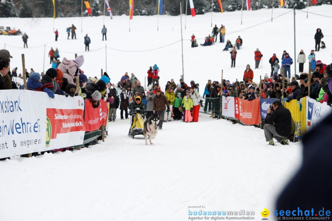 Schlittenhunderennen: Todtmoos im Schwarzwald, 24.02.2013