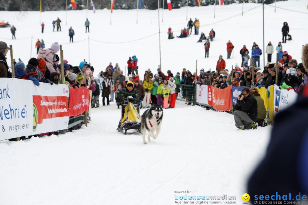 Schlittenhunderennen: Todtmoos im Schwarzwald, 24.02.2013