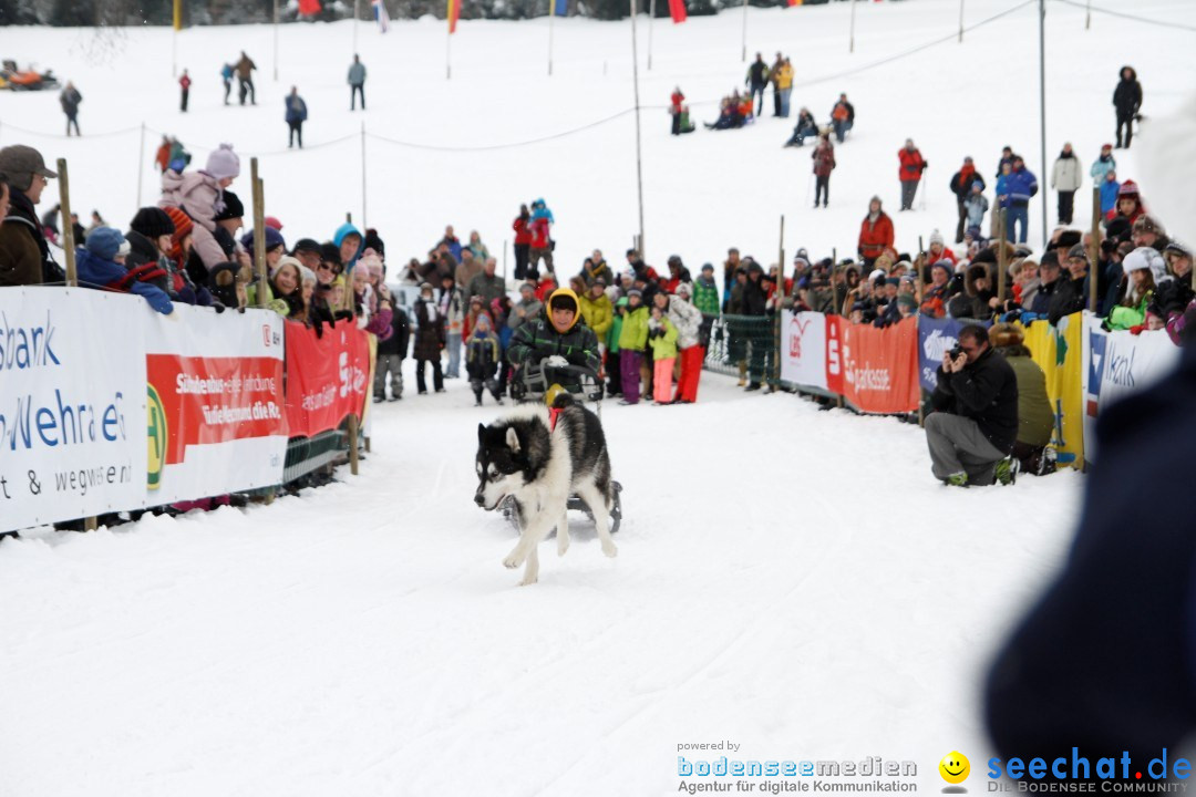 Schlittenhunderennen: Todtmoos im Schwarzwald, 24.02.2013