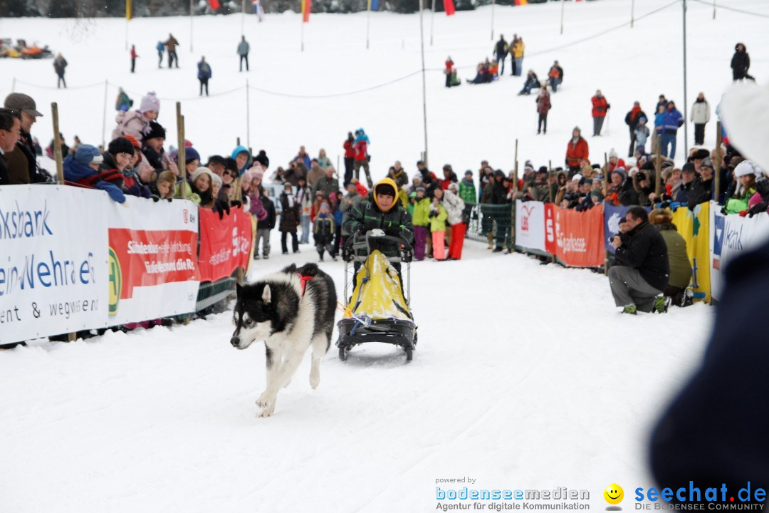 Schlittenhunderennen: Todtmoos im Schwarzwald, 24.02.2013