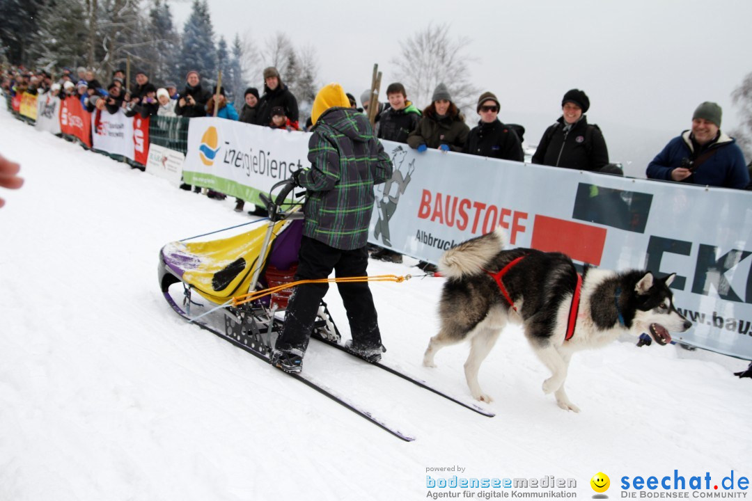 Schlittenhunderennen: Todtmoos im Schwarzwald, 24.02.2013