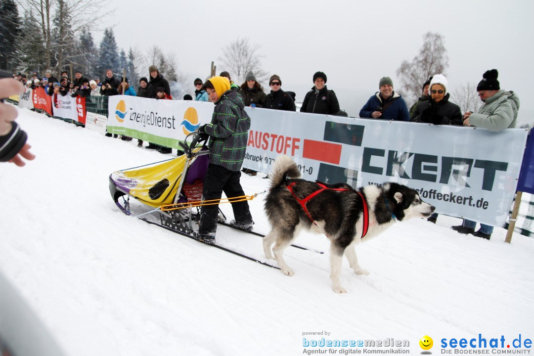 Schlittenhunderennen: Todtmoos im Schwarzwald, 24.02.2013