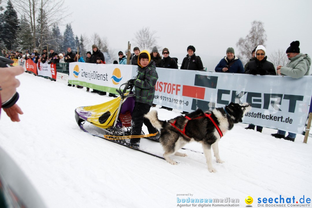 Schlittenhunderennen: Todtmoos im Schwarzwald, 24.02.2013