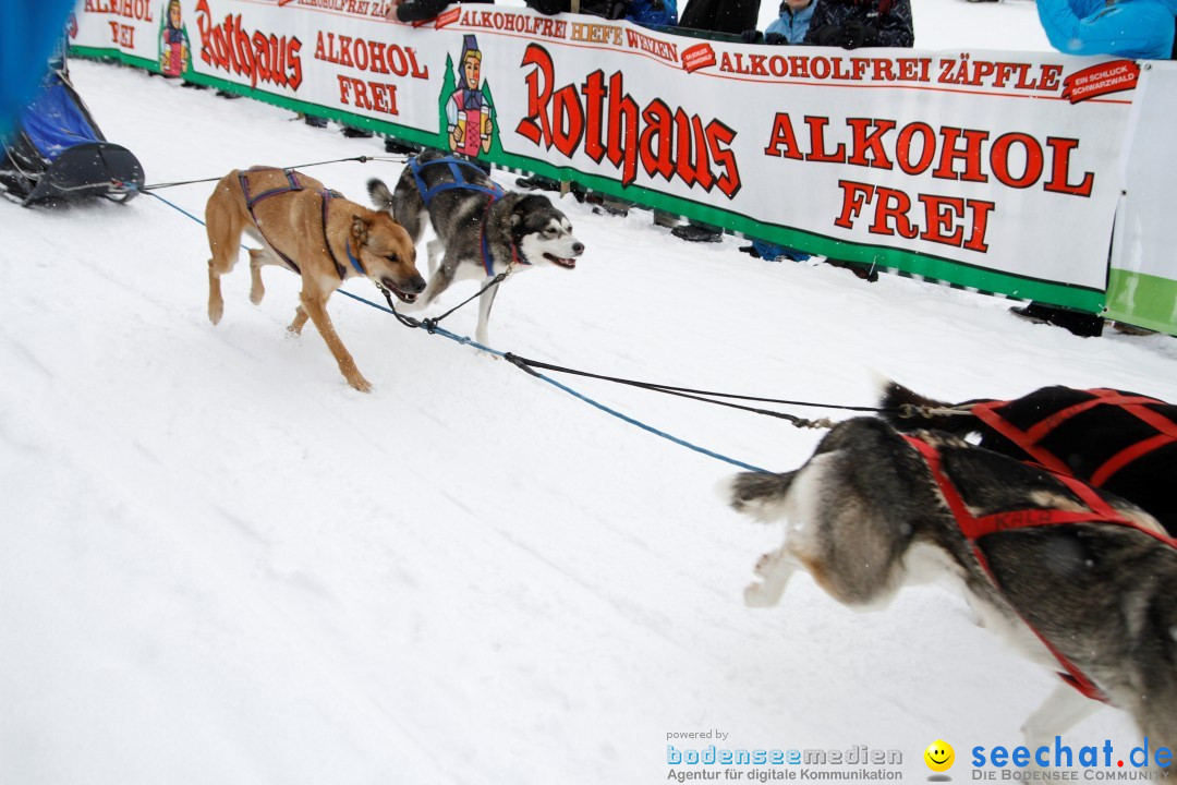 Schlittenhunderennen: Todtmoos im Schwarzwald, 24.02.2013