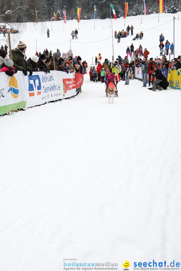 Schlittenhunderennen: Todtmoos im Schwarzwald, 24.02.2013