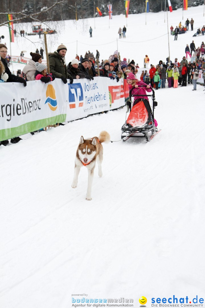 Schlittenhunderennen: Todtmoos im Schwarzwald, 24.02.2013