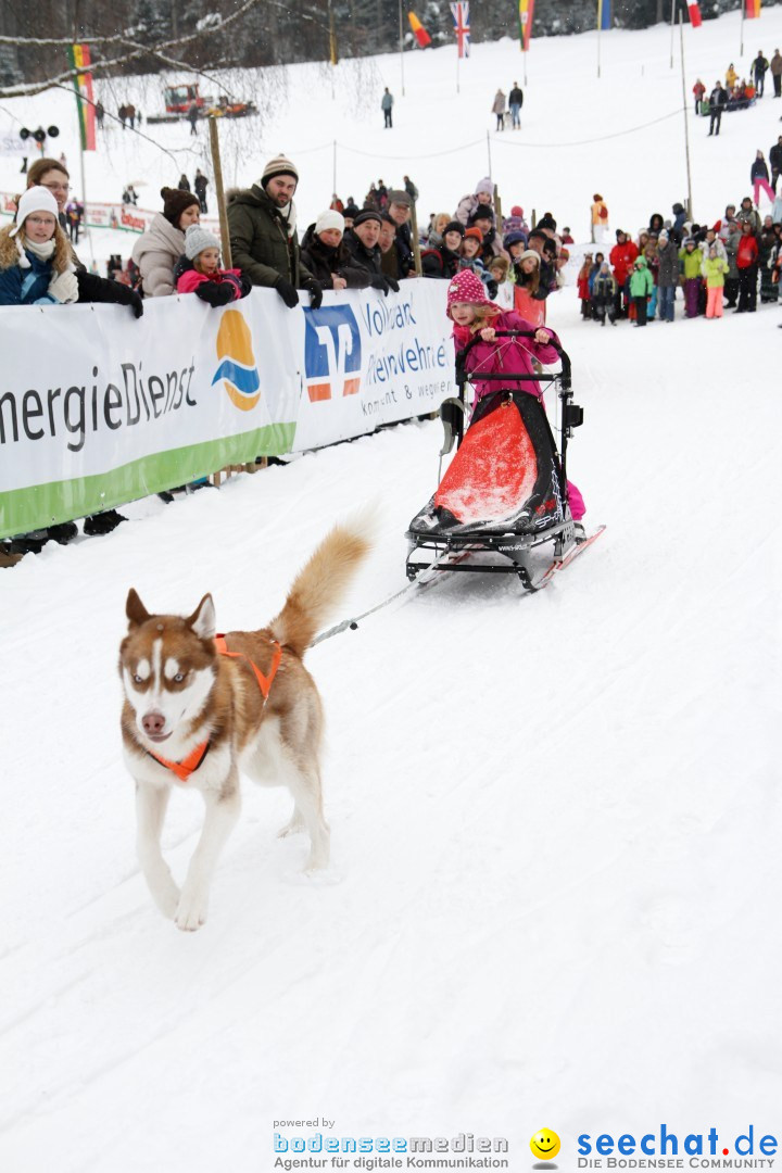 Schlittenhunderennen: Todtmoos im Schwarzwald, 24.02.2013