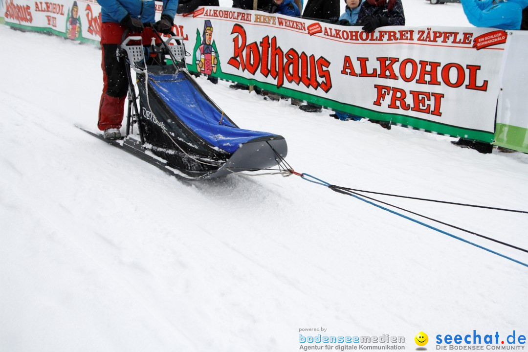 Schlittenhunderennen: Todtmoos im Schwarzwald, 24.02.2013