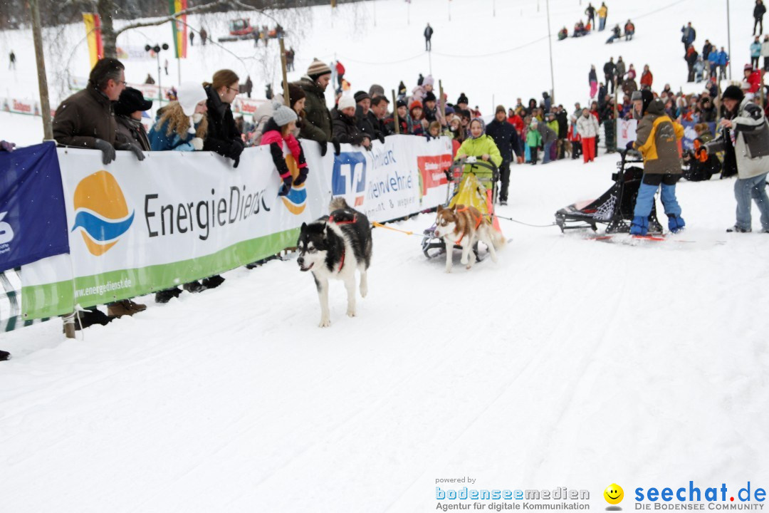 Schlittenhunderennen: Todtmoos im Schwarzwald, 24.02.2013