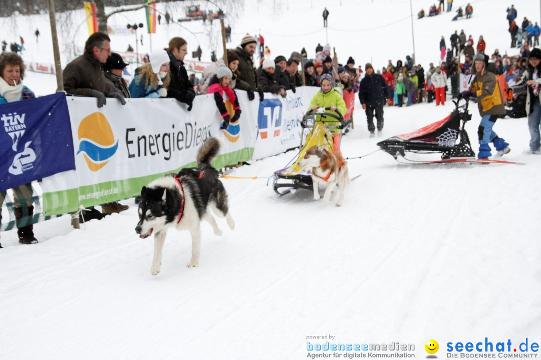 Schlittenhunderennen: Todtmoos im Schwarzwald, 24.02.2013