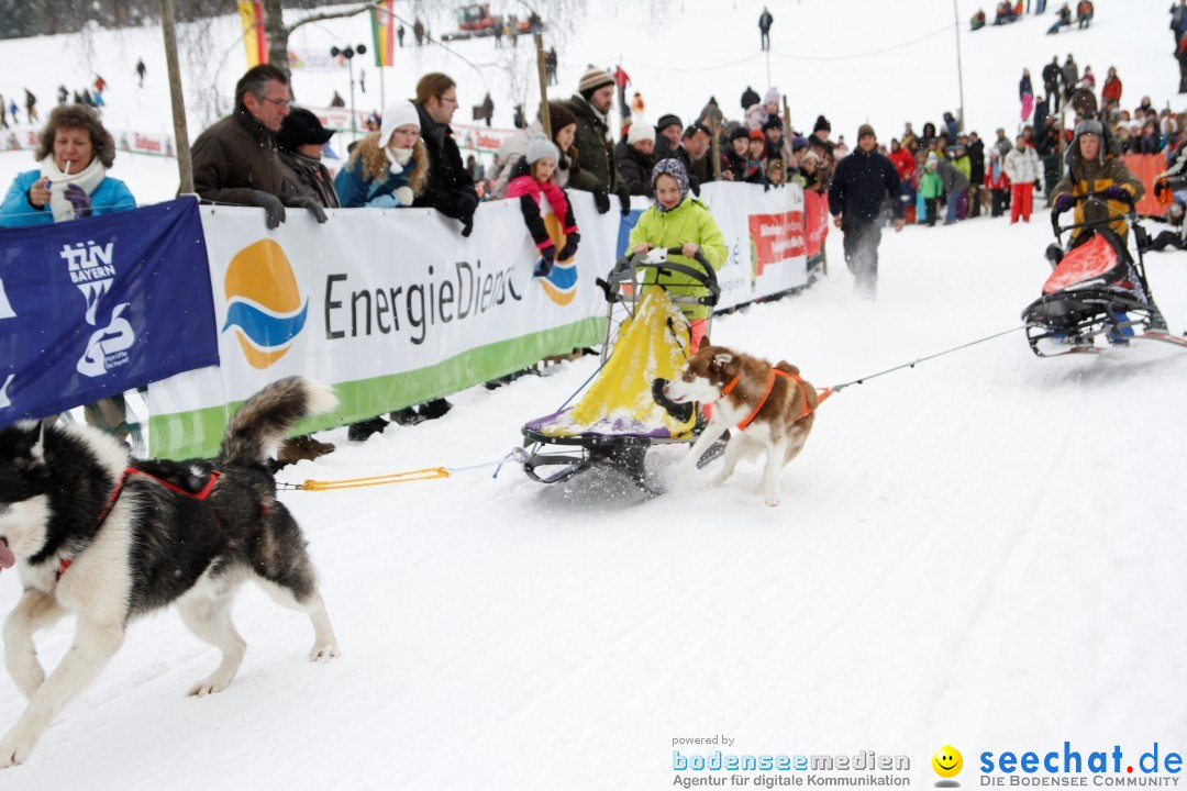 Schlittenhunderennen: Todtmoos im Schwarzwald, 24.02.2013