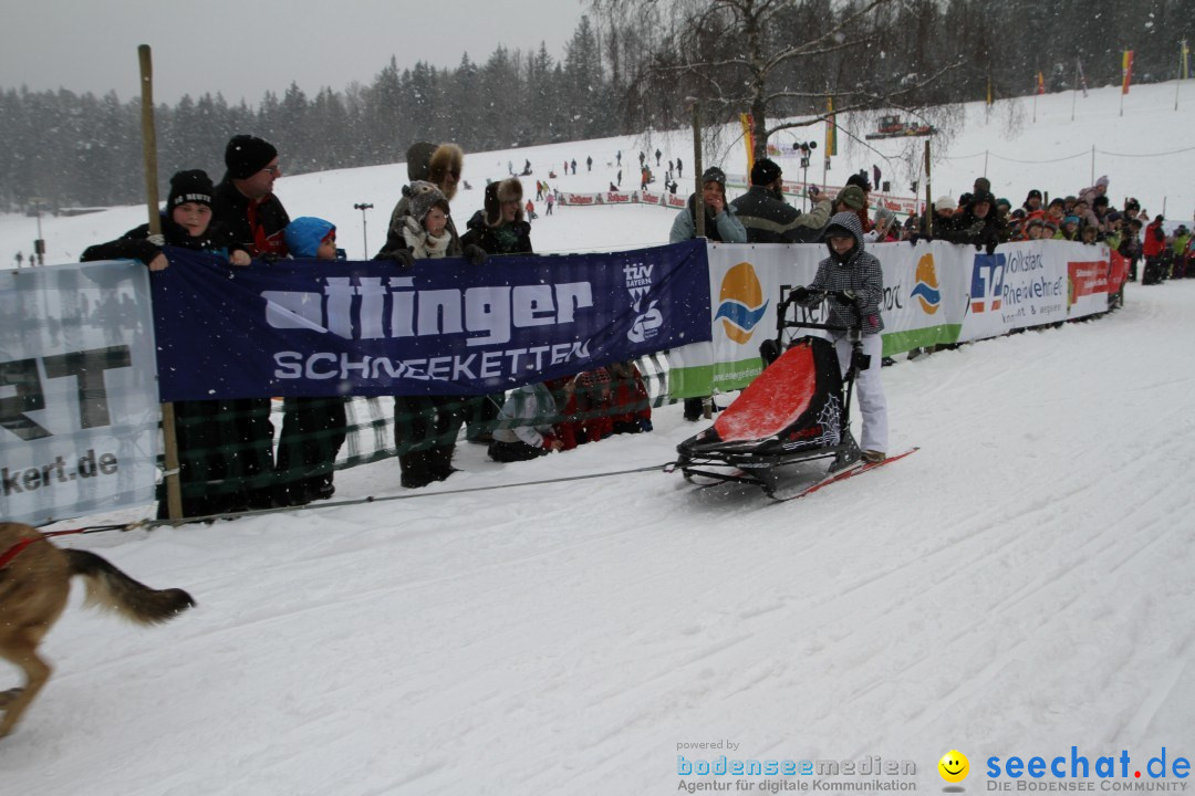 Schlittenhunderennen: Todtmoos im Schwarzwald, 24.02.2013