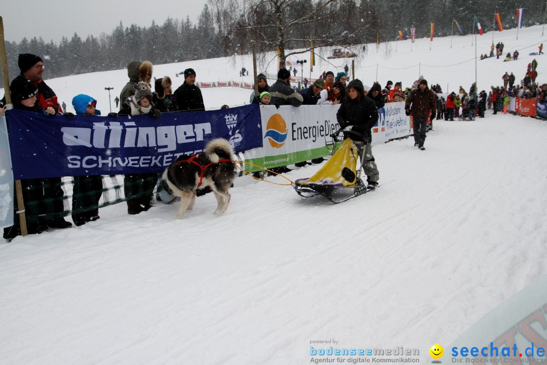 Schlittenhunderennen: Todtmoos im Schwarzwald, 24.02.2013