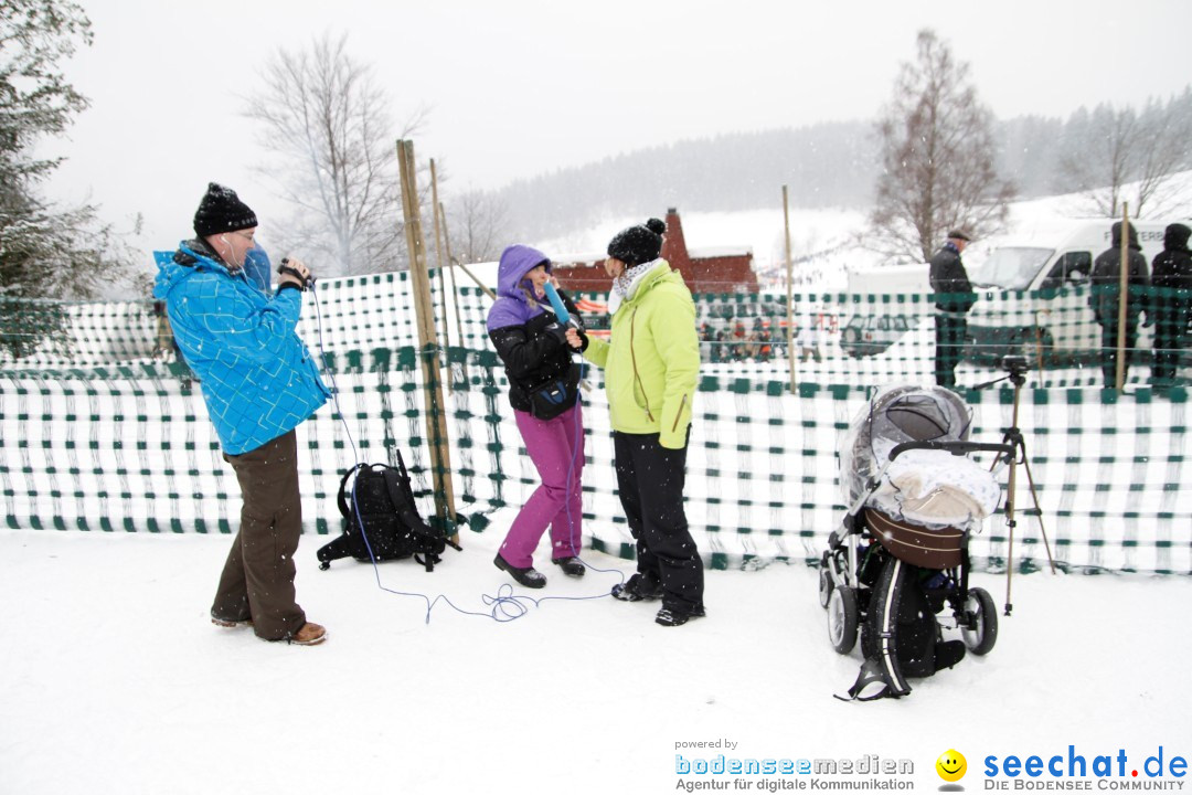 Schlittenhunderennen: Todtmoos im Schwarzwald, 24.02.2013