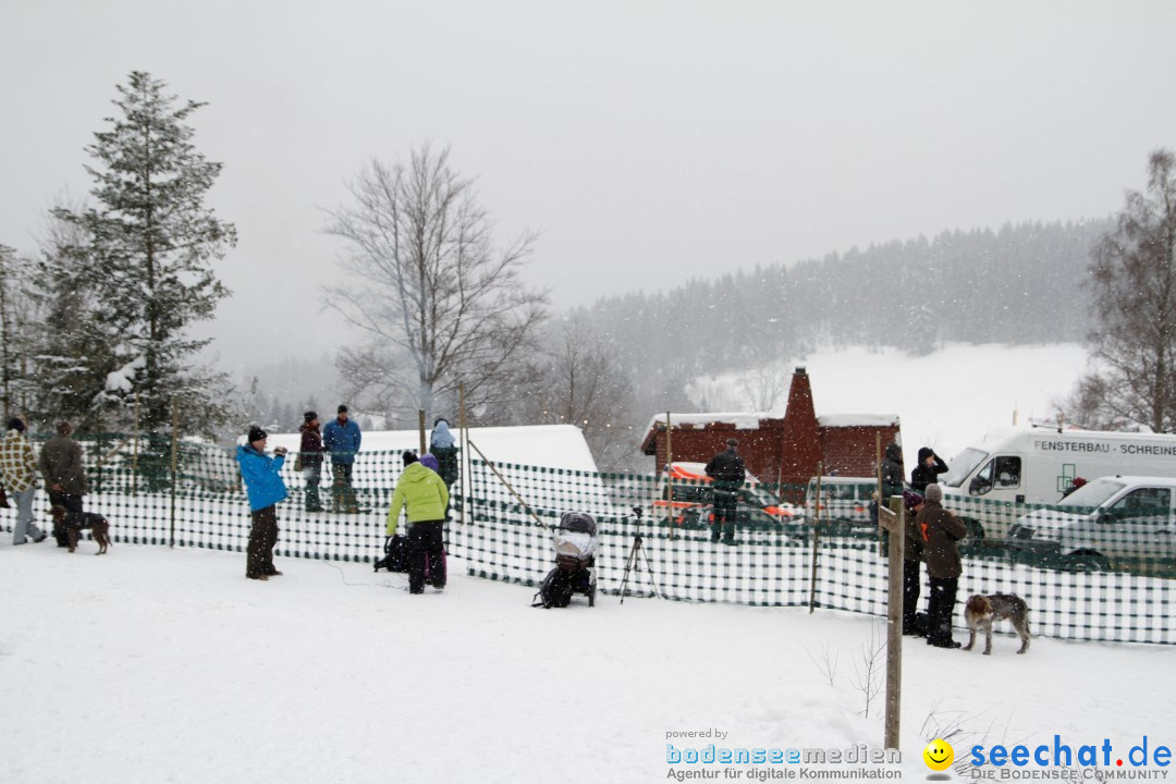 Schlittenhunderennen: Todtmoos im Schwarzwald, 24.02.2013