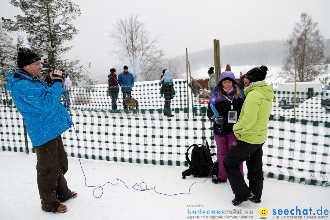 Schlittenhunderennen: Todtmoos im Schwarzwald, 24.02.2013