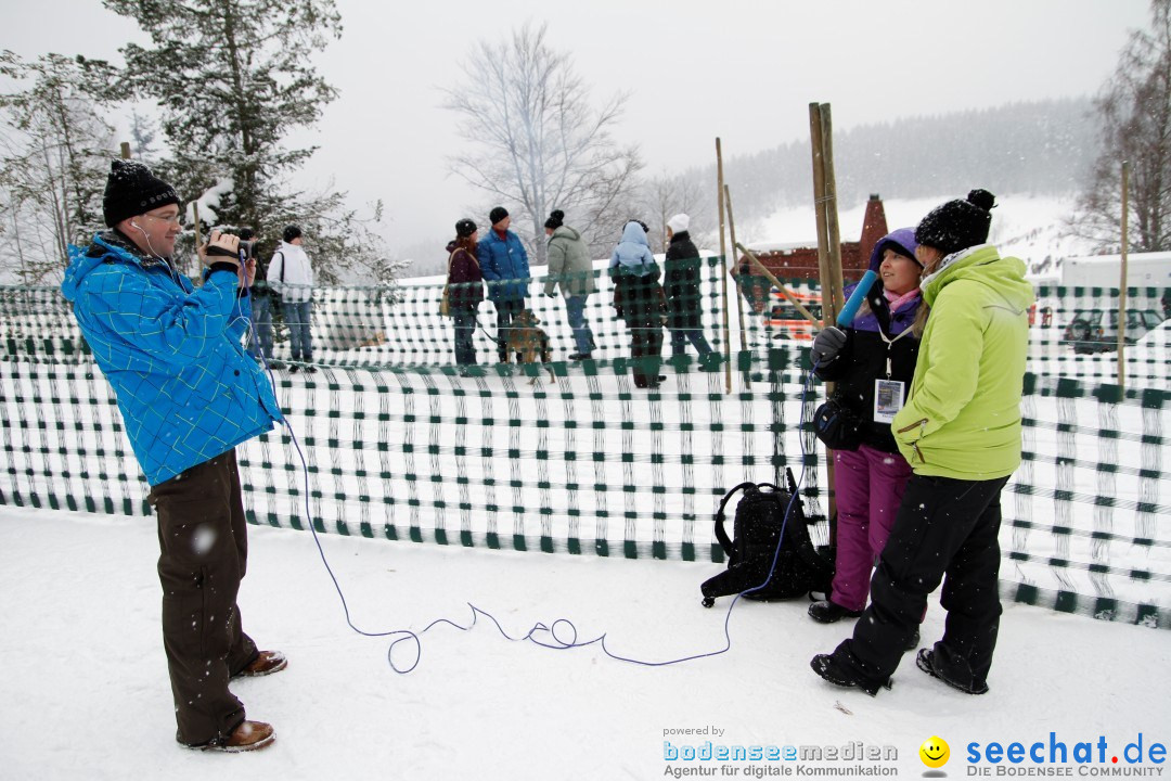 Schlittenhunderennen: Todtmoos im Schwarzwald, 24.02.2013