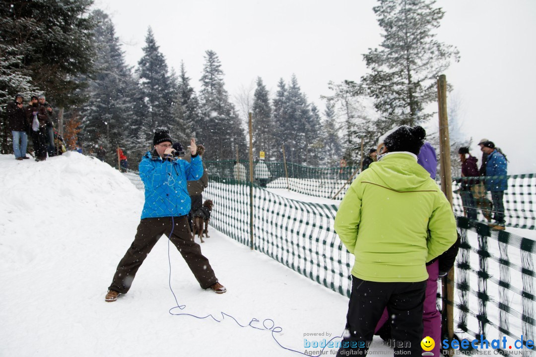 Schlittenhunderennen: Todtmoos im Schwarzwald, 24.02.2013