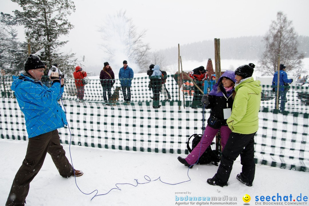 Schlittenhunderennen: Todtmoos im Schwarzwald, 24.02.2013