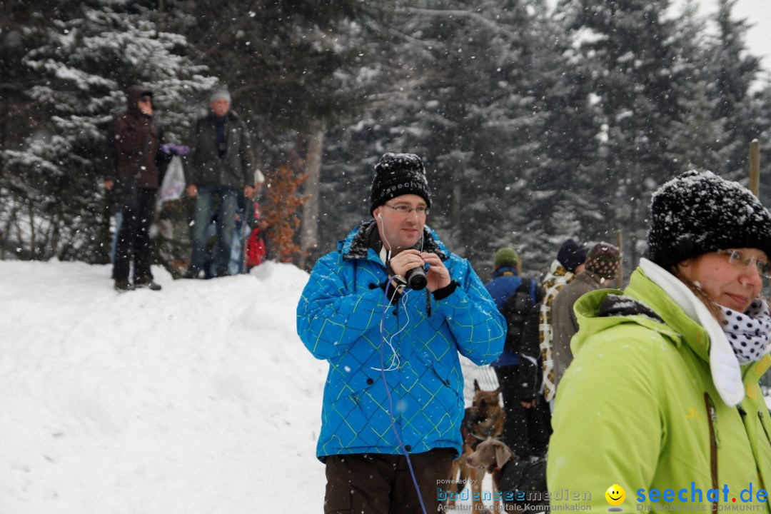 Schlittenhunderennen: Todtmoos im Schwarzwald, 24.02.2013