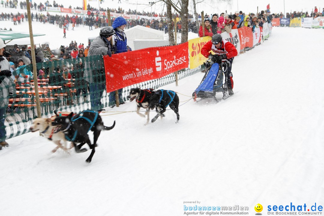 Schlittenhunderennen: Todtmoos im Schwarzwald, 24.02.2013