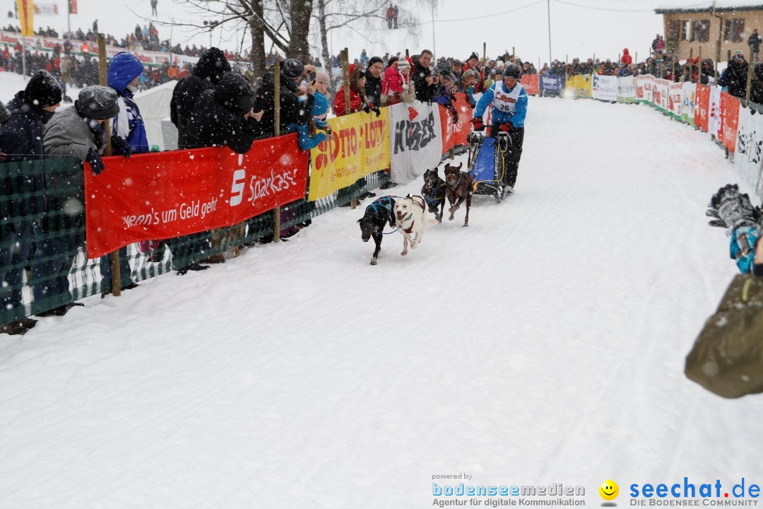 Schlittenhunderennen: Todtmoos im Schwarzwald, 24.02.2013