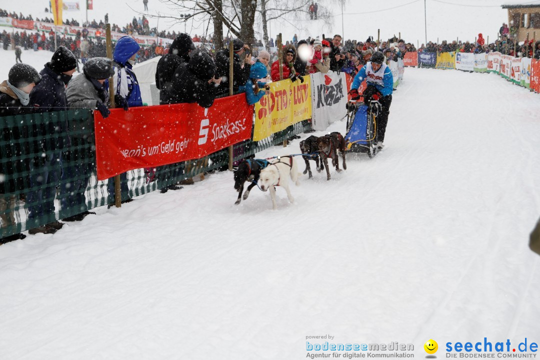 Schlittenhunderennen: Todtmoos im Schwarzwald, 24.02.2013