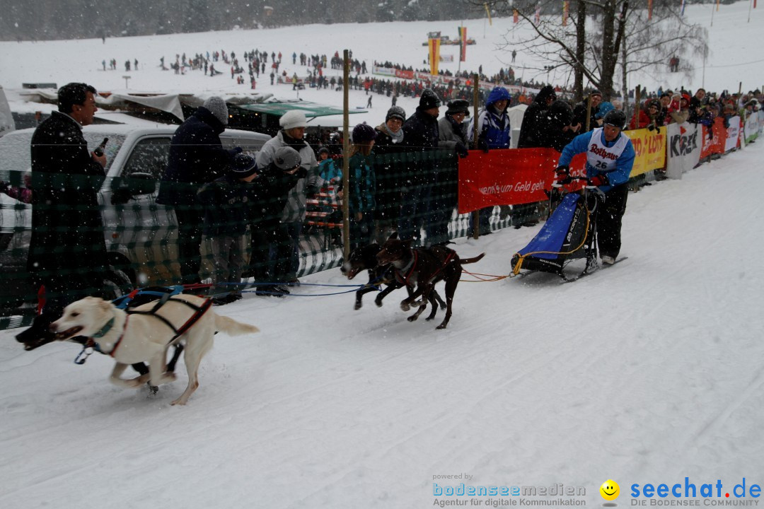 Schlittenhunderennen: Todtmoos im Schwarzwald, 24.02.2013