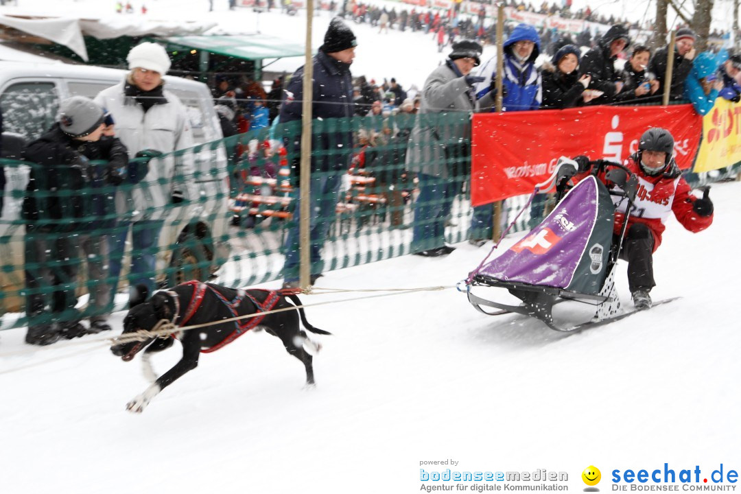 Schlittenhunderennen: Todtmoos im Schwarzwald, 24.02.2013