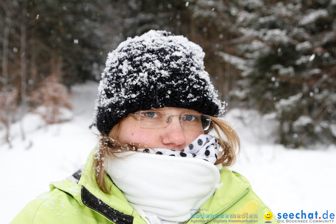 Schlittenhunderennen: Todtmoos im Schwarzwald, 24.02.2013