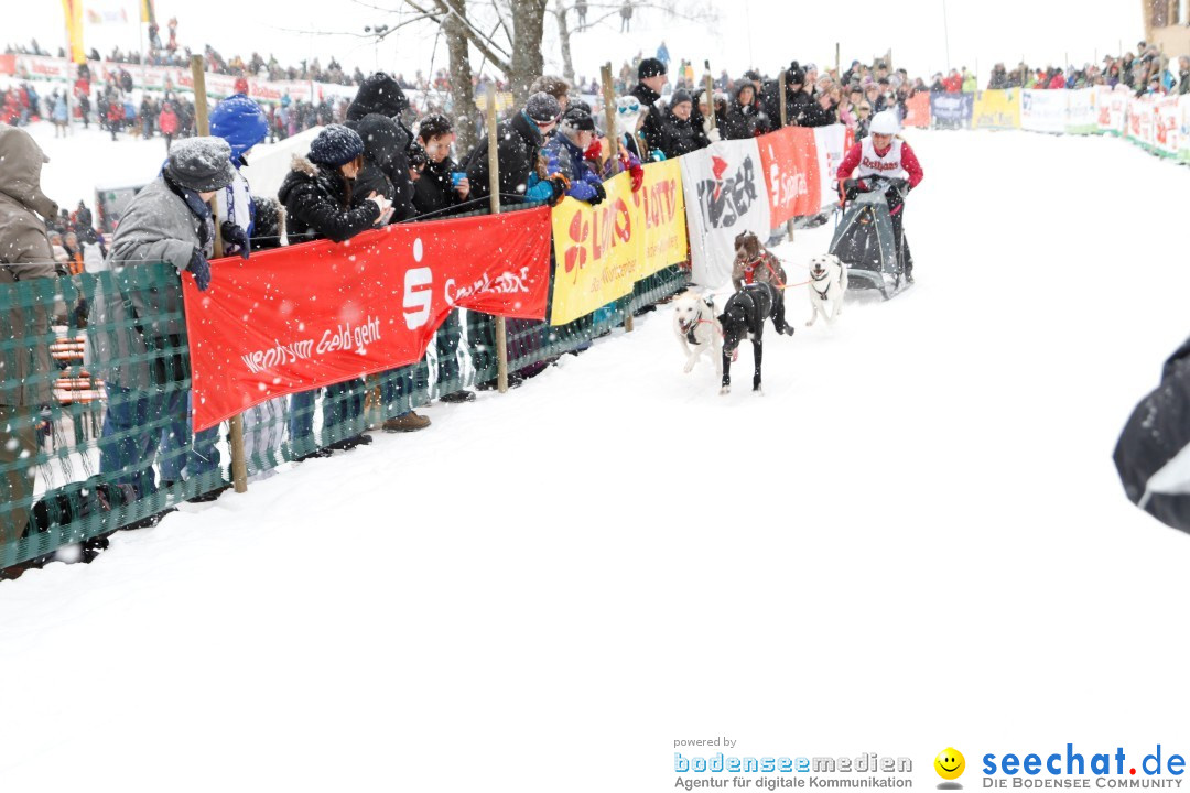 Schlittenhunderennen: Todtmoos im Schwarzwald, 24.02.2013