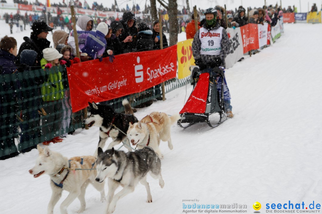 Schlittenhunderennen: Todtmoos im Schwarzwald, 24.02.2013