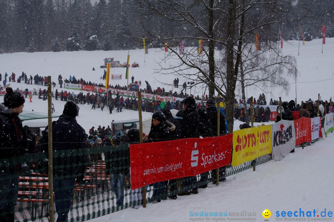 Schlittenhunderennen: Todtmoos im Schwarzwald, 24.02.2013