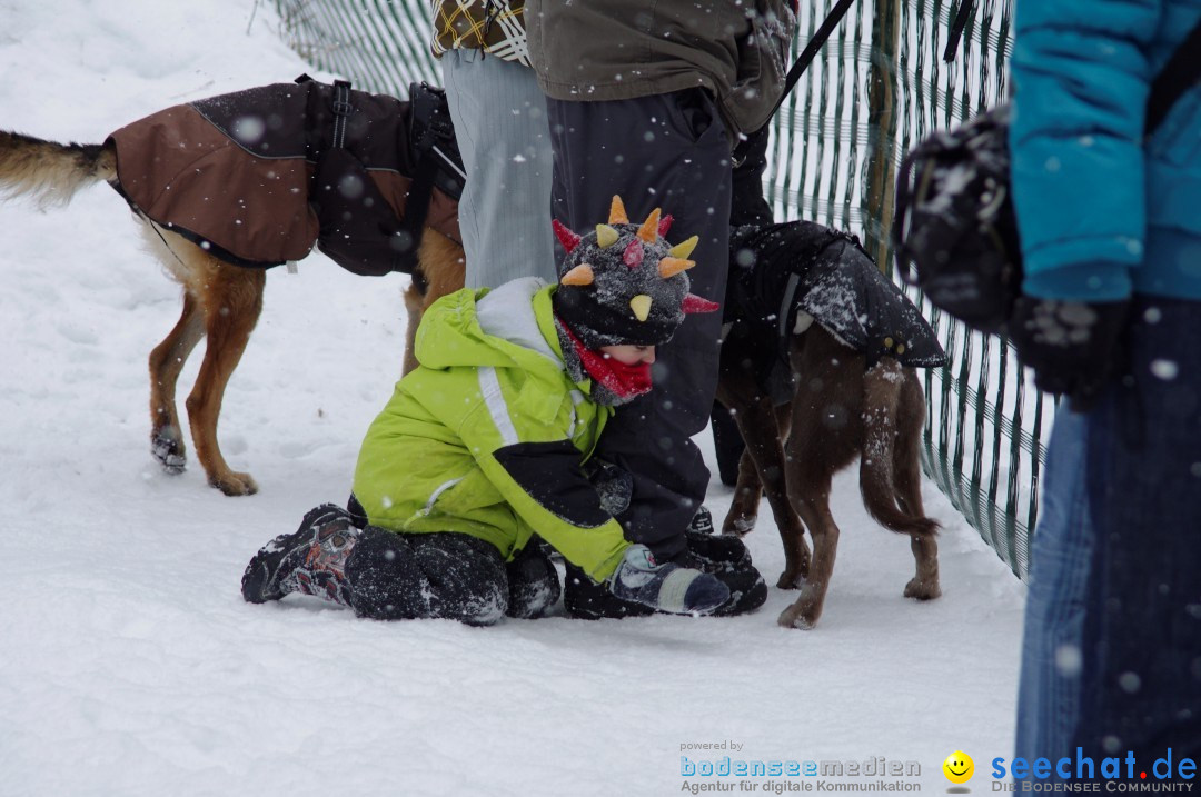 Schlittenhunderennen: Todtmoos im Schwarzwald, 24.02.2013