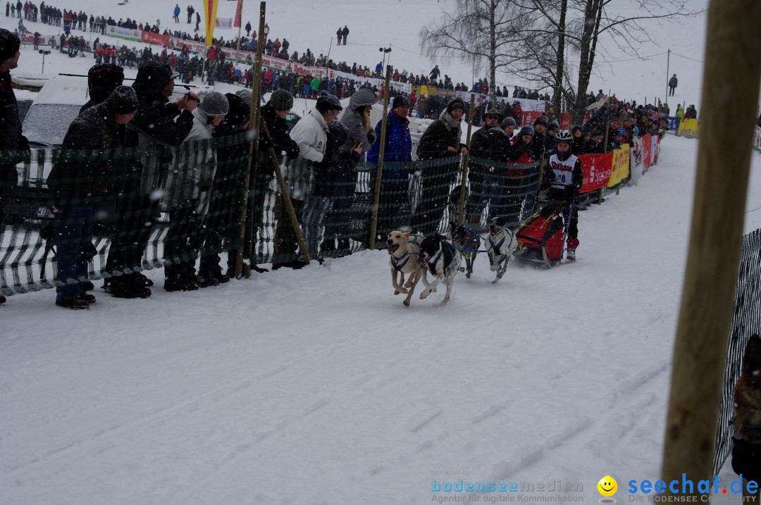 Schlittenhunderennen: Todtmoos im Schwarzwald, 24.02.2013