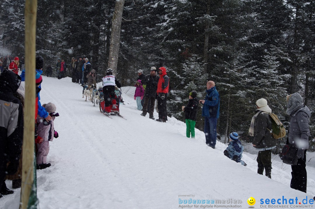 Schlittenhunderennen: Todtmoos im Schwarzwald, 24.02.2013