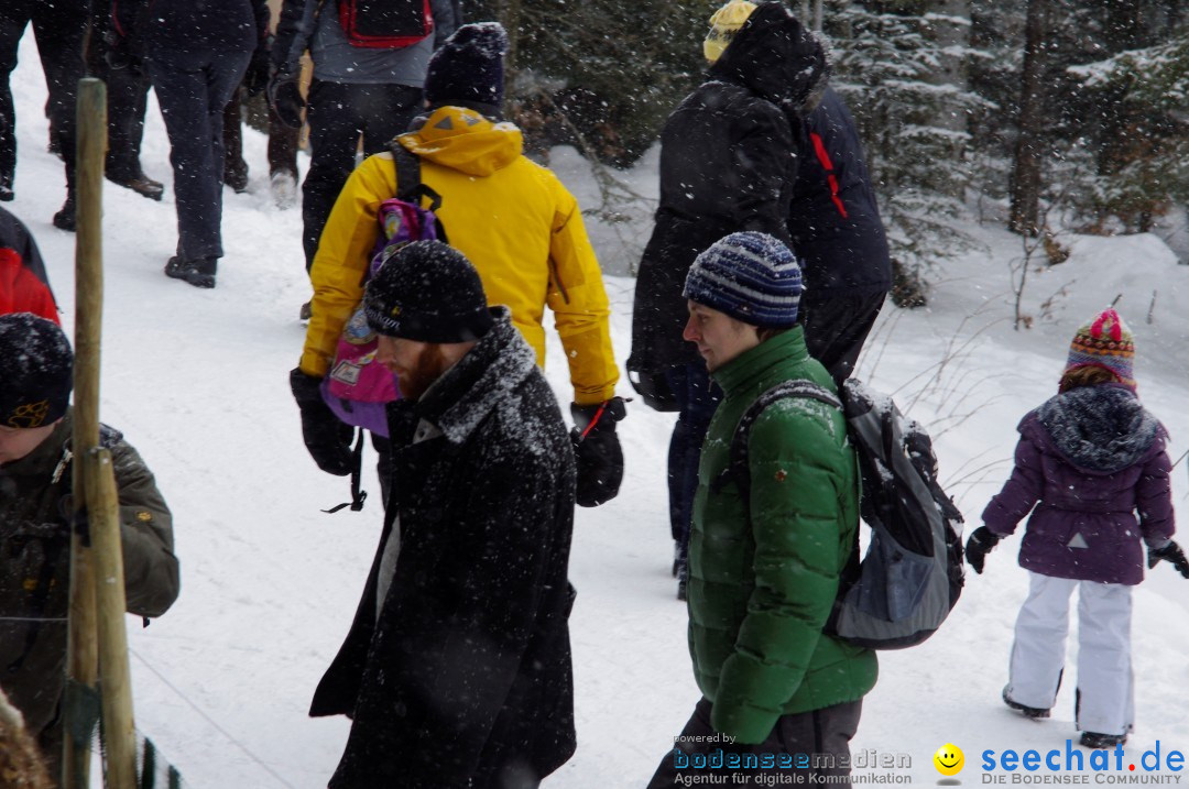 Schlittenhunderennen: Todtmoos im Schwarzwald, 24.02.2013