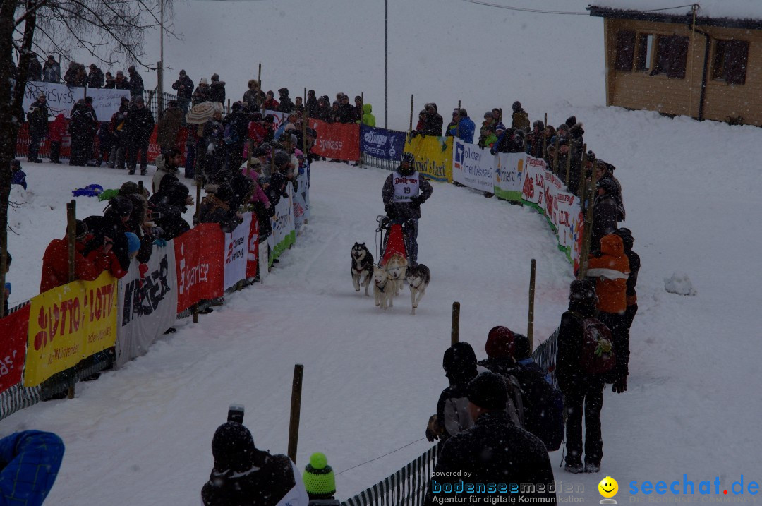 Schlittenhunderennen: Todtmoos im Schwarzwald, 24.02.2013