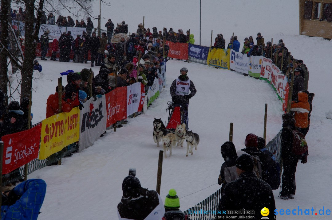 Schlittenhunderennen: Todtmoos im Schwarzwald, 24.02.2013